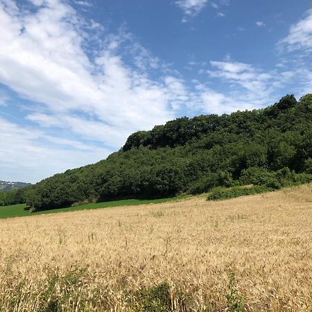 Agriturismo L'Esinante Cupramontana Esterno foto